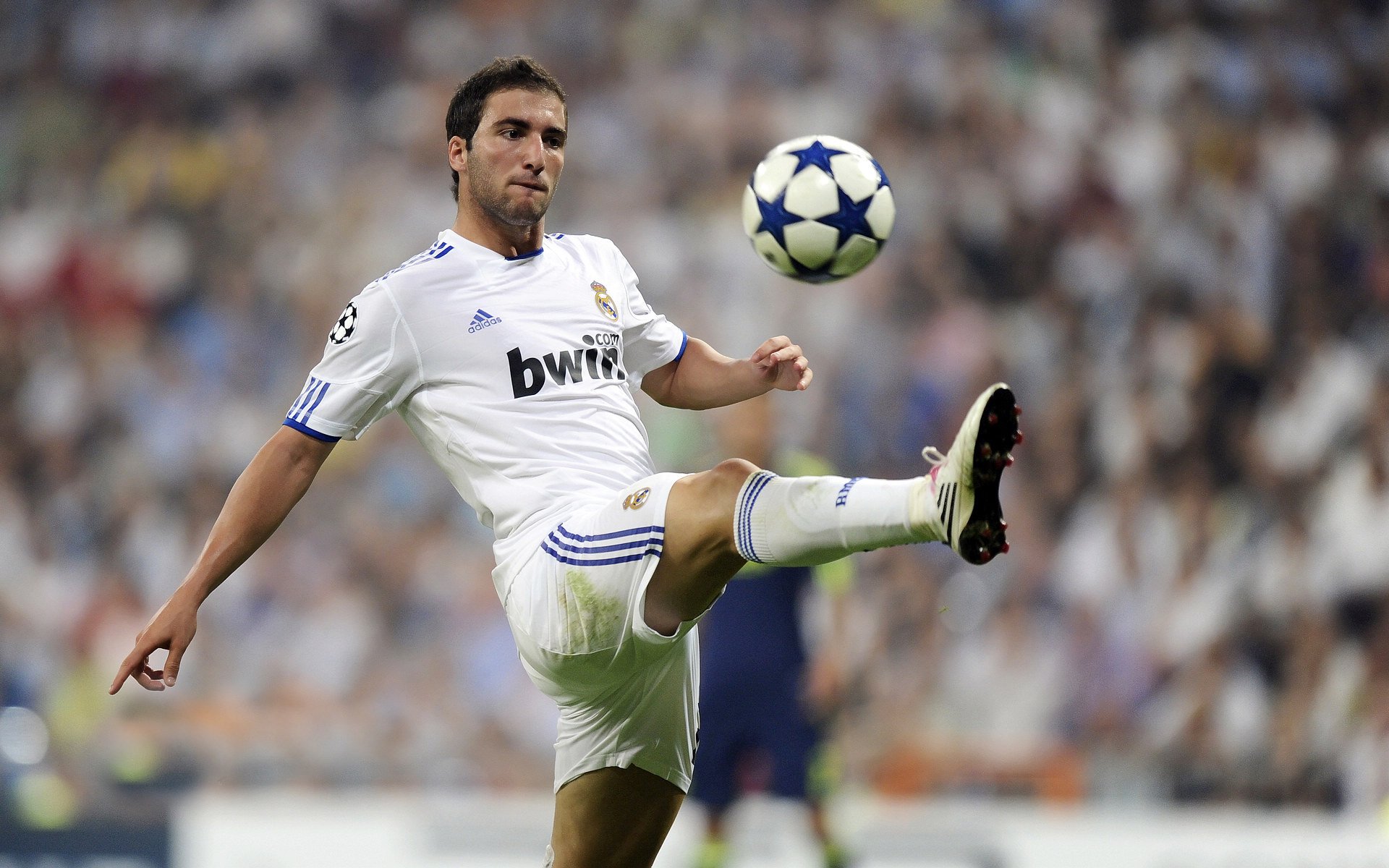 比利时骑手拉里萨·保利斯在2024年巴黎奥运会盛装舞步比赛中以“Luna”马匹获得第七名,展现出色表现。